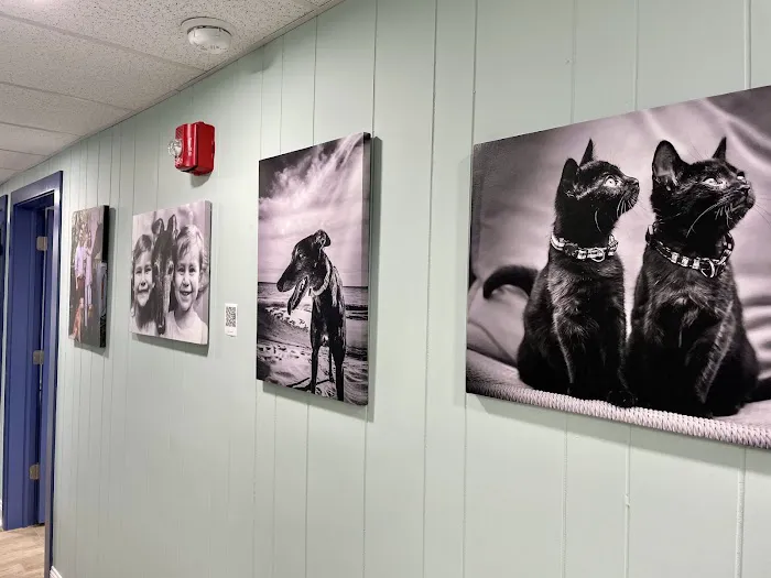 Havertown Animal Hospital 9
