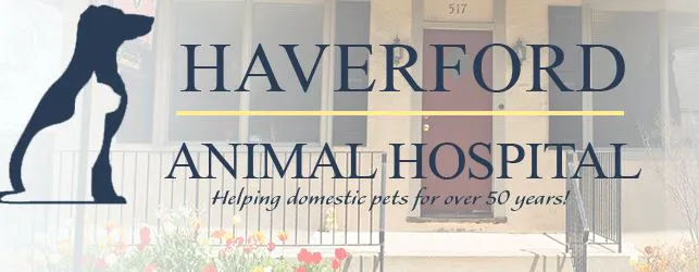 Haverford Animal Hospital 1