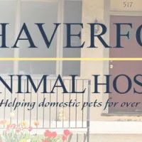 Haverford Animal Hospital ico