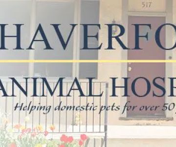 Haverford Animal Hospital