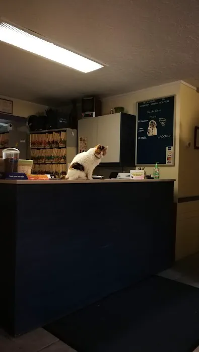Narberth Animal Hospital 4