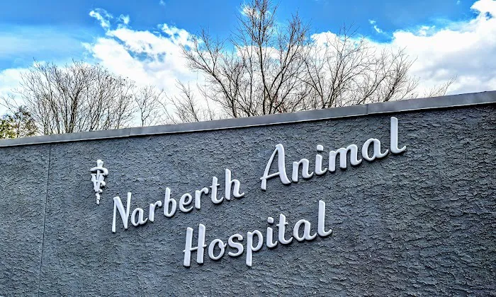 Narberth Animal Hospital 5