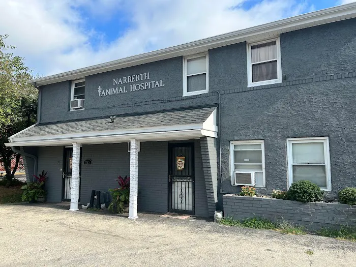 Narberth Animal Hospital 3