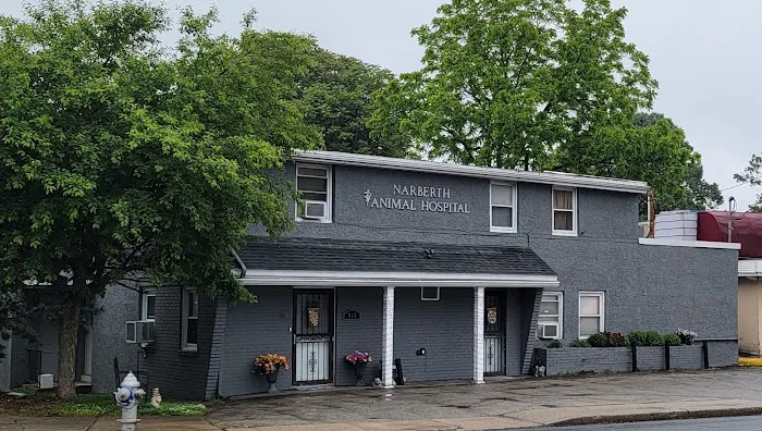 Narberth Animal Hospital 2