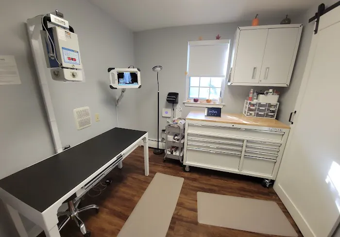 MVSM - McLean Veterinary Sports Medicine 7
