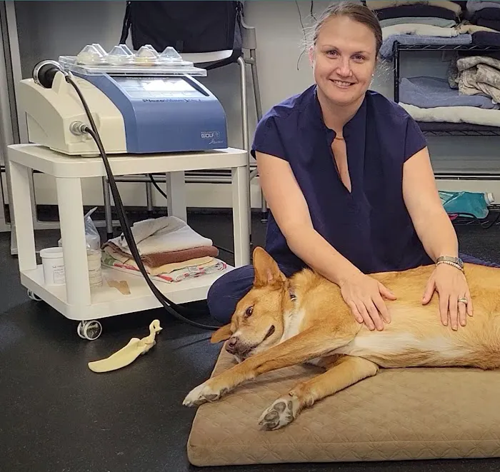 MVSM - McLean Veterinary Sports Medicine 9