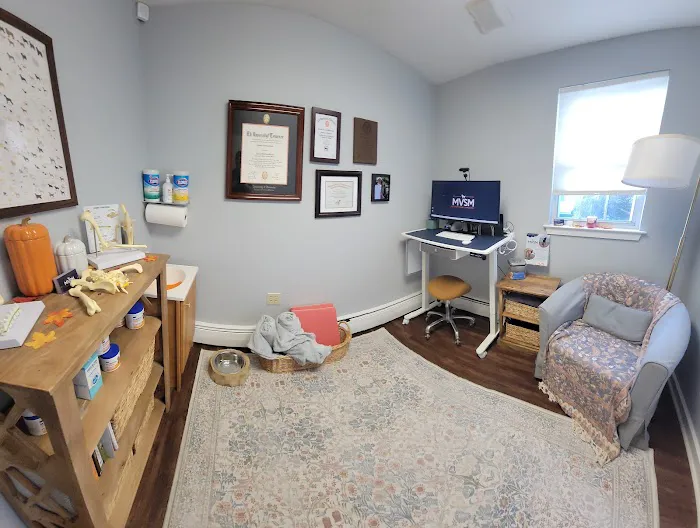 MVSM - McLean Veterinary Sports Medicine 1