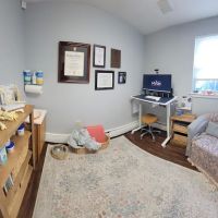 MVSM - McLean Veterinary Sports Medicine ico