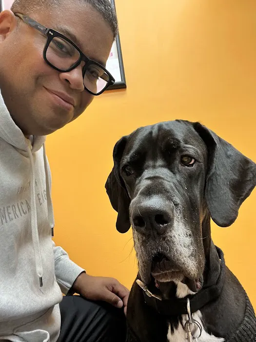 Glenolden Animal Hospital 2