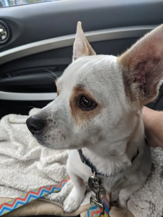 Glenolden Animal Hospital 1