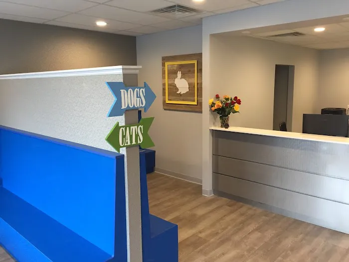 Newtown Square Veterinary Hospital 5