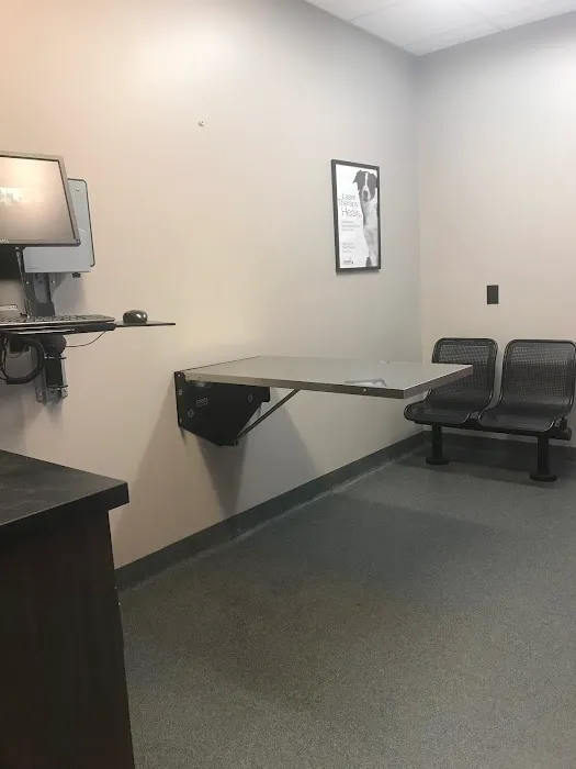 Radnor Veterinary Hospital 3
