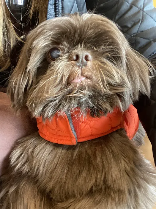 Gladwyne Animal Hospital 9