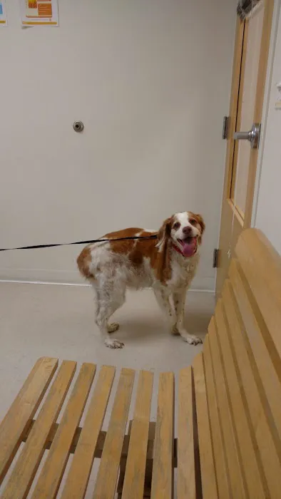 Hickory Veterinary and Specialty Hospital 3