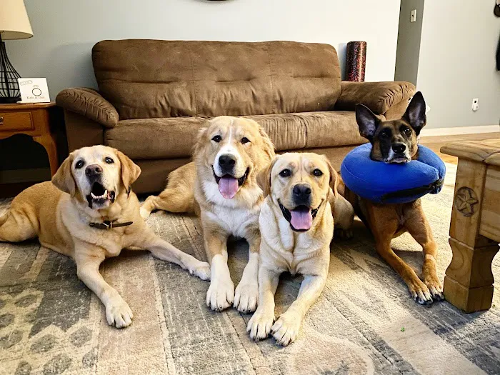 Pinnacle Veterinary Specialists 5