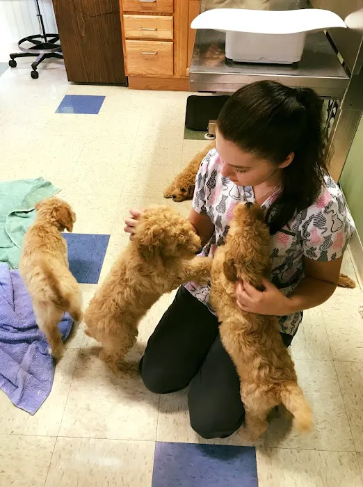 Villanova Veterinary Hospital 10