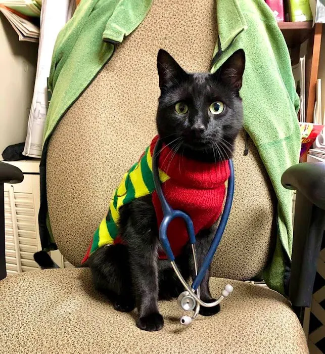 Villanova Veterinary Hospital 9