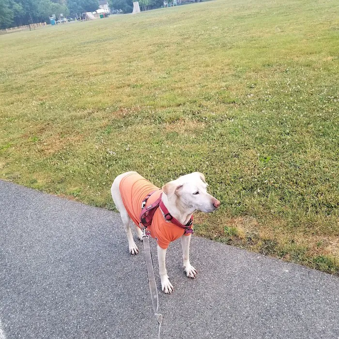 Providence Veterinary Hospital, Chester PA 8