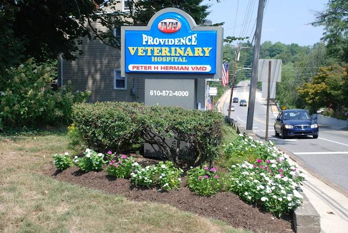 Providence Veterinary Hospital, Chester PA 7