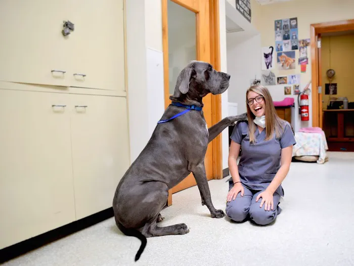Paoli Vetcare | Main Line Vet & Animal Hospital 3