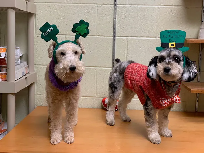 Paoli Vetcare | Main Line Vet & Animal Hospital 10