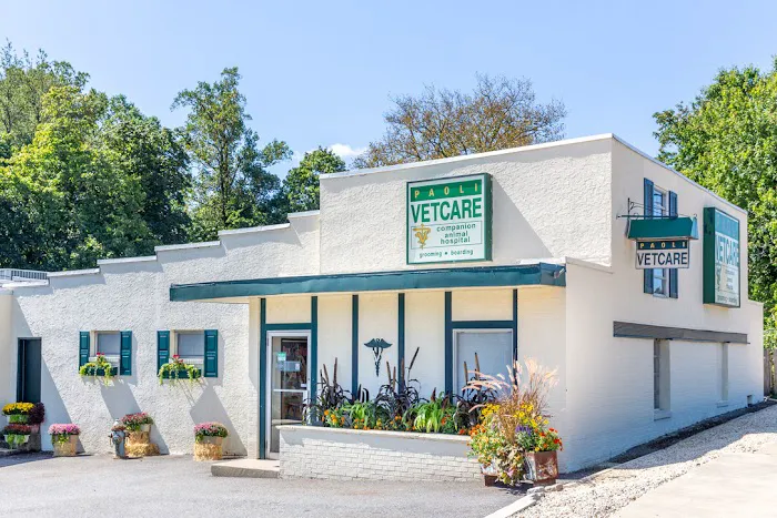 Paoli Vetcare | Main Line Vet & Animal Hospital 9