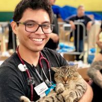 Emancipet ico