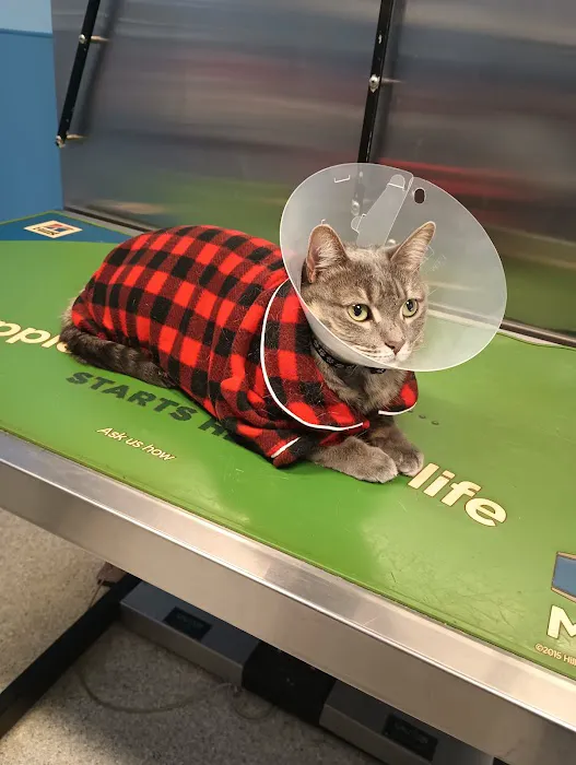 Elkins Park Veterinary Hospital 1