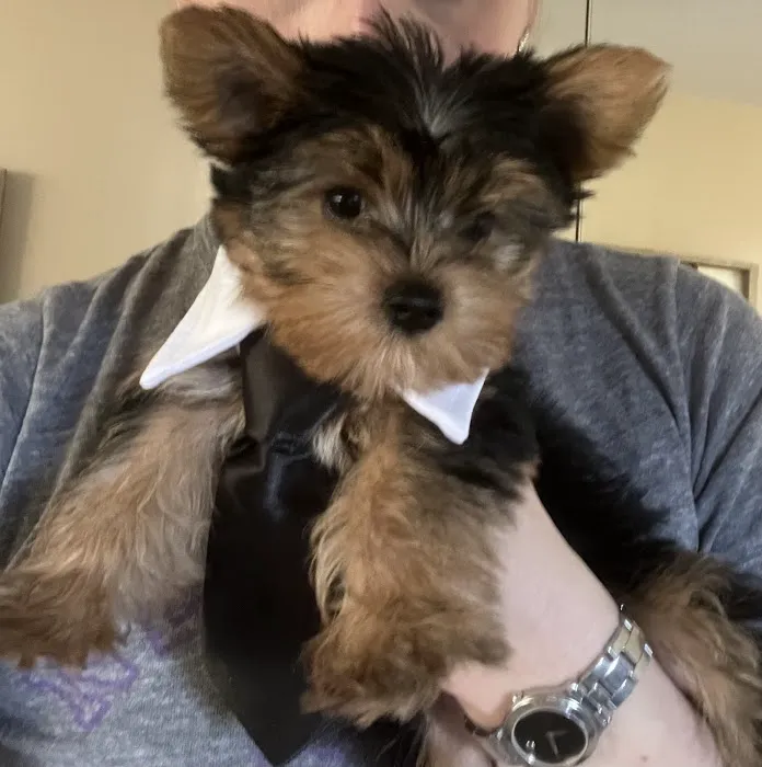 Elkins Park Veterinary Hospital 4