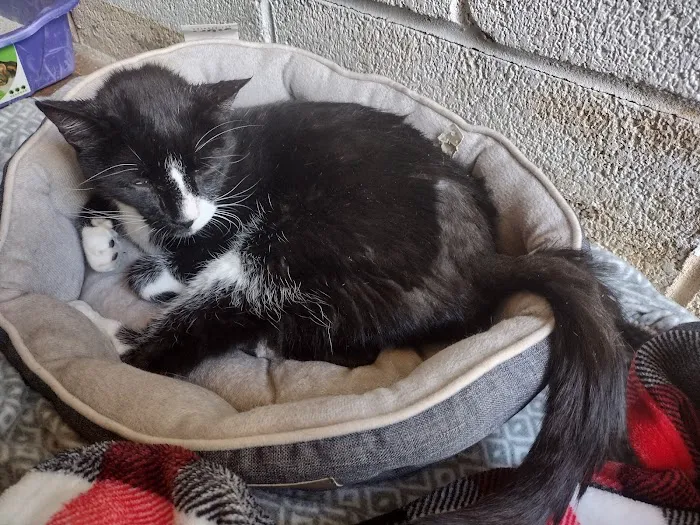 Elkins Park Veterinary Hospital 3