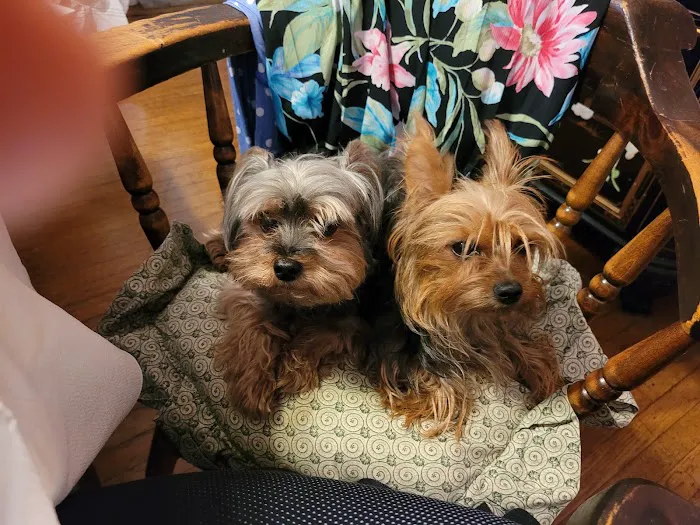 Mt Airy Animal Hospital 3