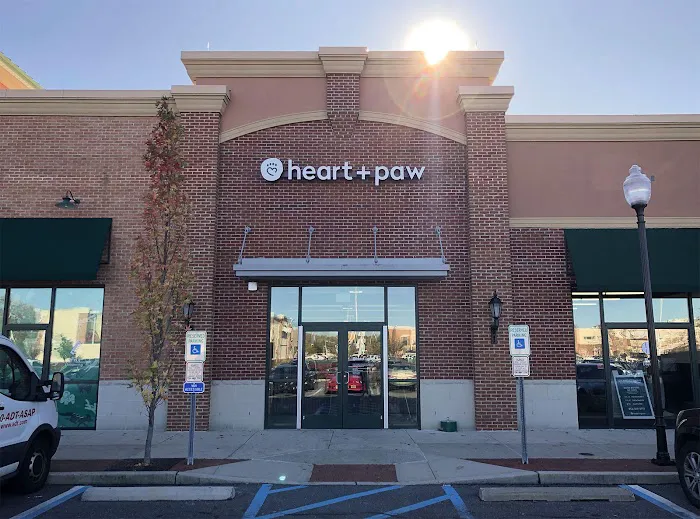 Heart + Paw 12