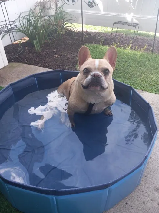 Banfield Pet Hospital 5