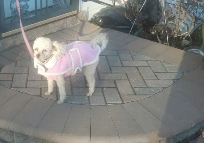 Banfield Pet Hospital 8