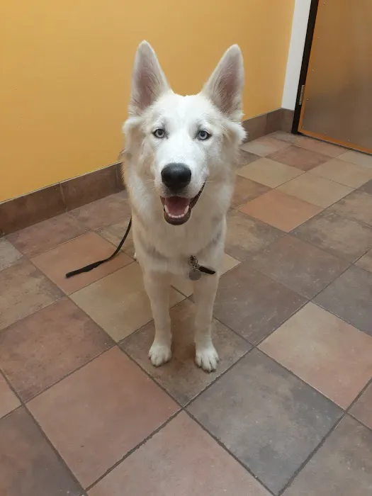 Banfield Pet Hospital 9