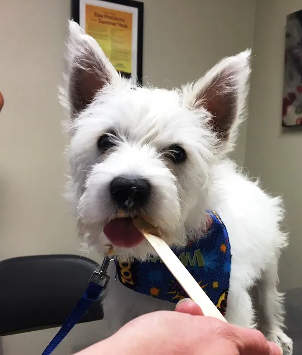 Cherry Hill Animal Hospital 12