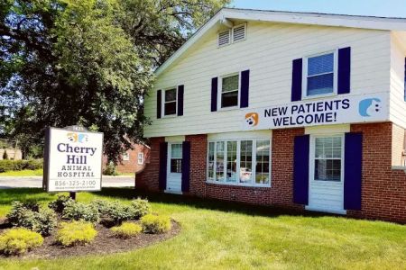 Cherry Hill Animal Hospital