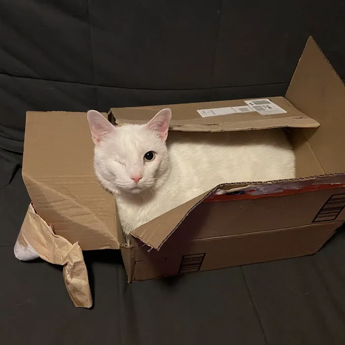 Pennpet Clinic 12