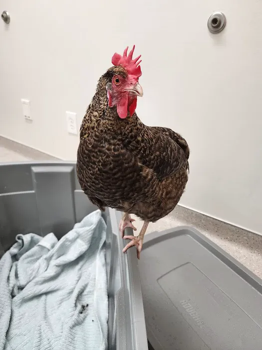 Animal & Bird Health Care Center & Hospital 12