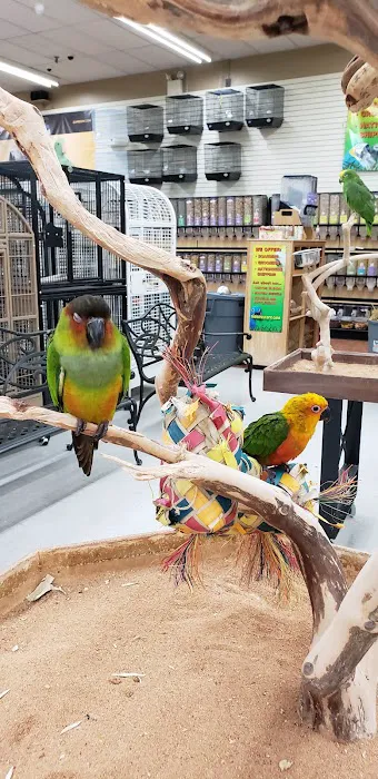 Animal & Bird Health Care Center & Hospital 12