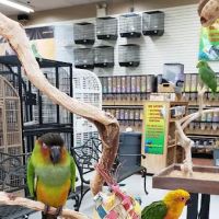 Animal & Bird Health Care Center & Hospital ico