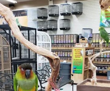 Animal & Bird Health Care Center & Hospital