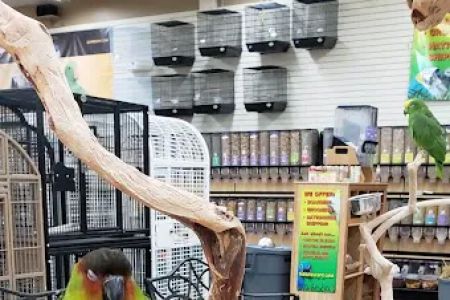Animal & Bird Health Care Center & Hospital