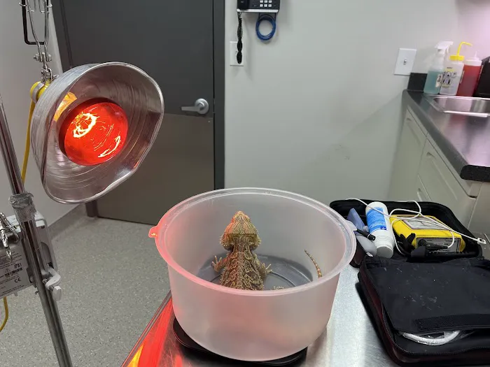 Animal & Bird Health Care Center & Hospital 12