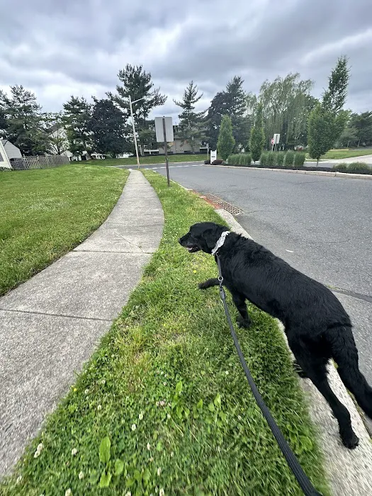 Voorhees Veterinary Center 10