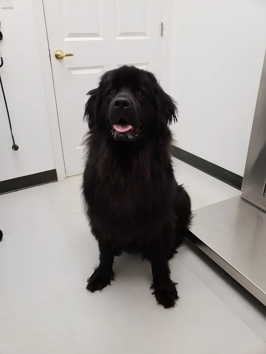 Voorhees Veterinary Center 3