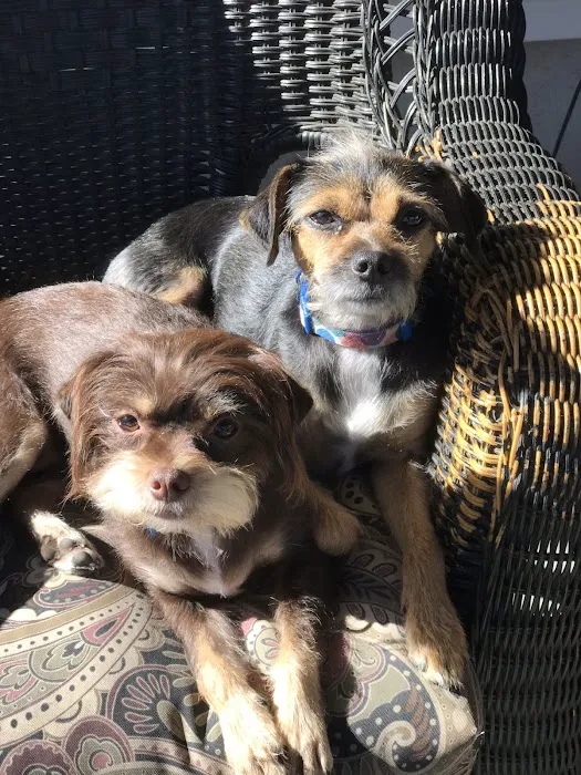 Voorhees Veterinary Center 9