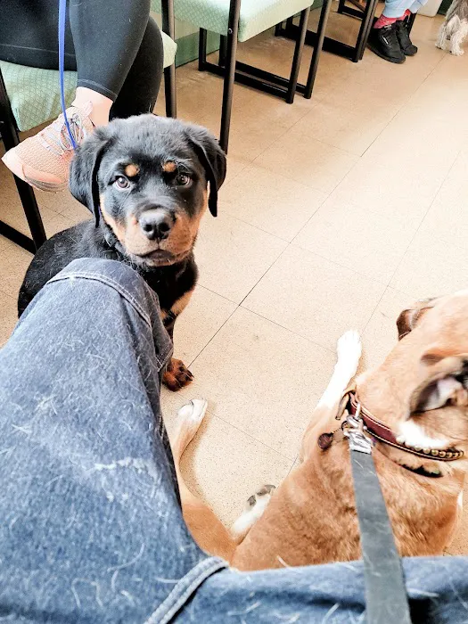 Bree's Animal Hospital 1