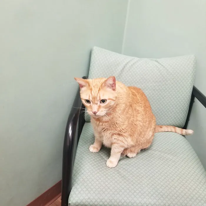 Bree's Animal Hospital 4