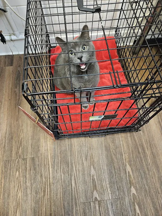 Bree's Animal Hospital 8
